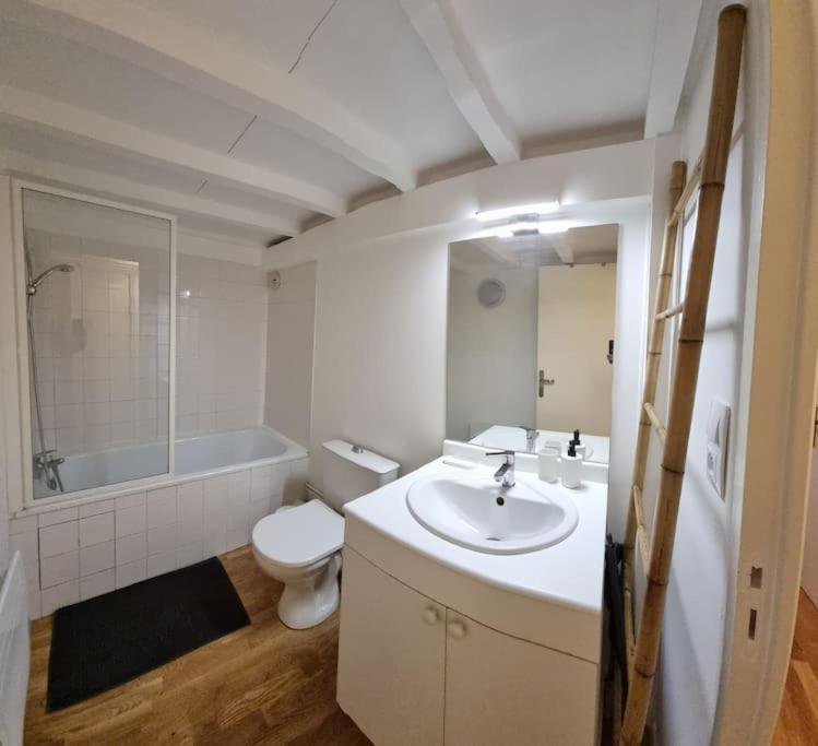 T2 Charmant - Hypercentre - Quai De Garonne - Wifi Apartment ตูลูส ภายนอก รูปภาพ